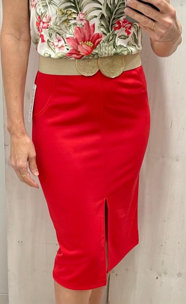 Falda roja raja