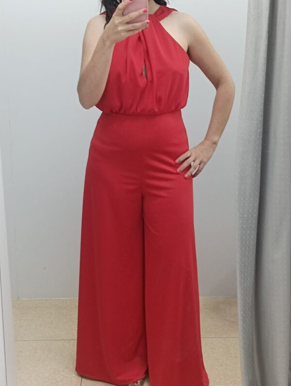 Mono rojo